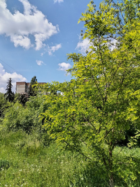 Фотографии со стены