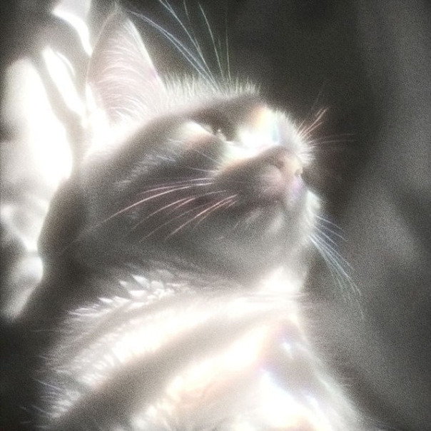 Алексей Ишутов