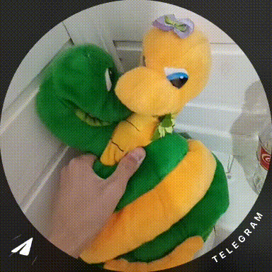 Видеосообщение