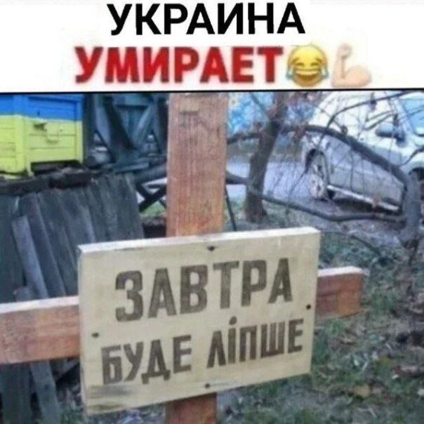 Фотографии со страницы