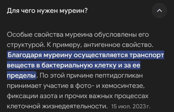 Фотографии со стены