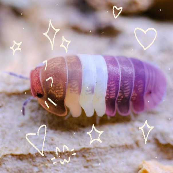 Женя Носова