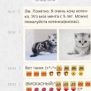 у меня был кот вискас