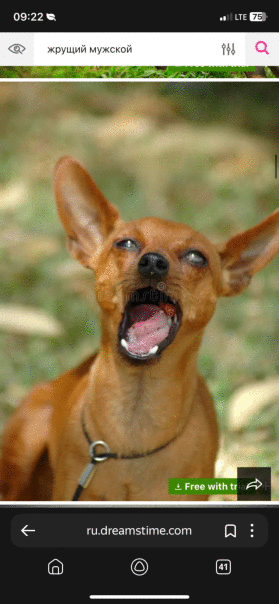 Фотографии со страницы