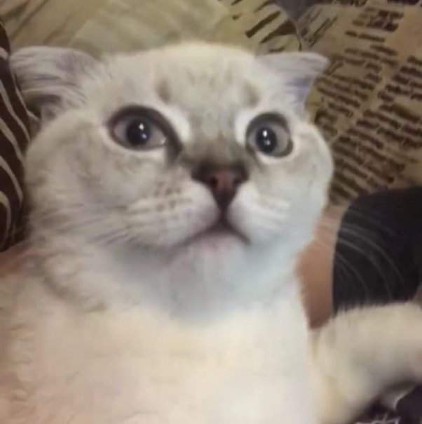 Фотографии со стены