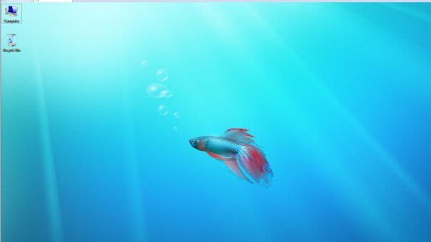 Фотографии со стены