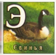 Учим алфавит с китайцами. 

Э - Св...