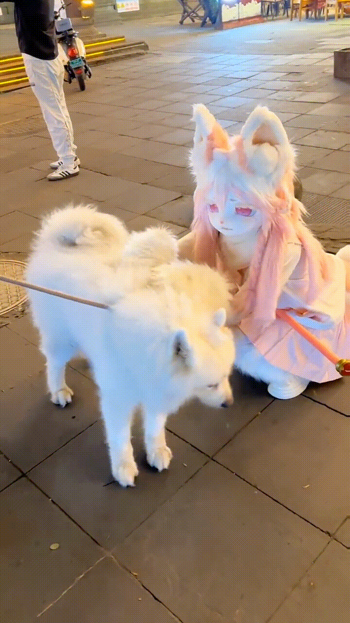 85c45f82bfc256a8c9acdaf38bcecc3a.mp4