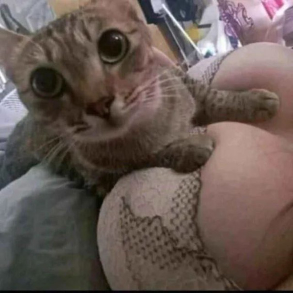 Женя Аптека