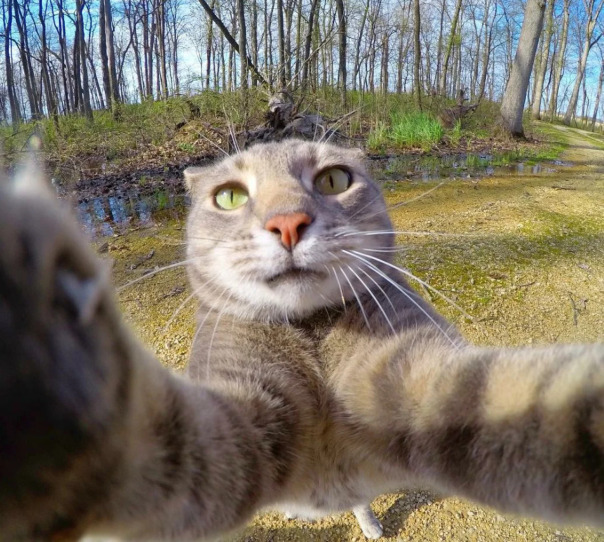 Данила Котиков