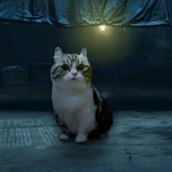 Profile backdrop (system)...