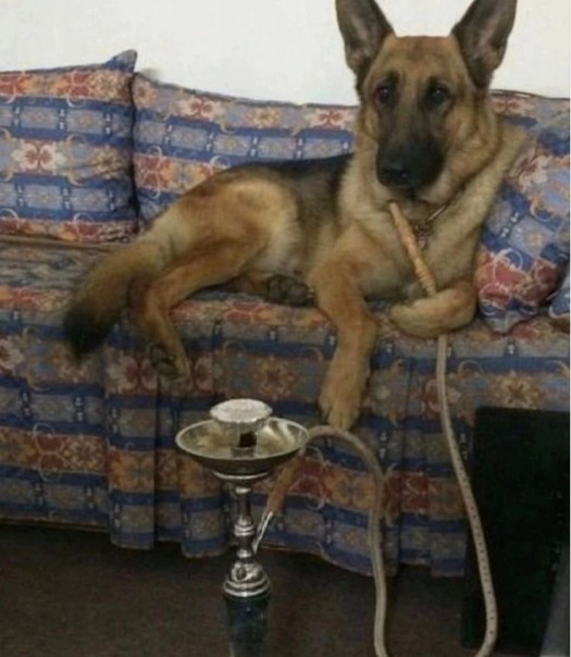 Билли Прилюдно