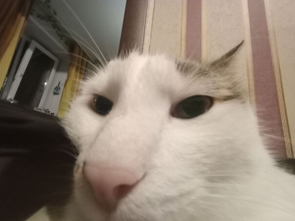 Фотографии со стены