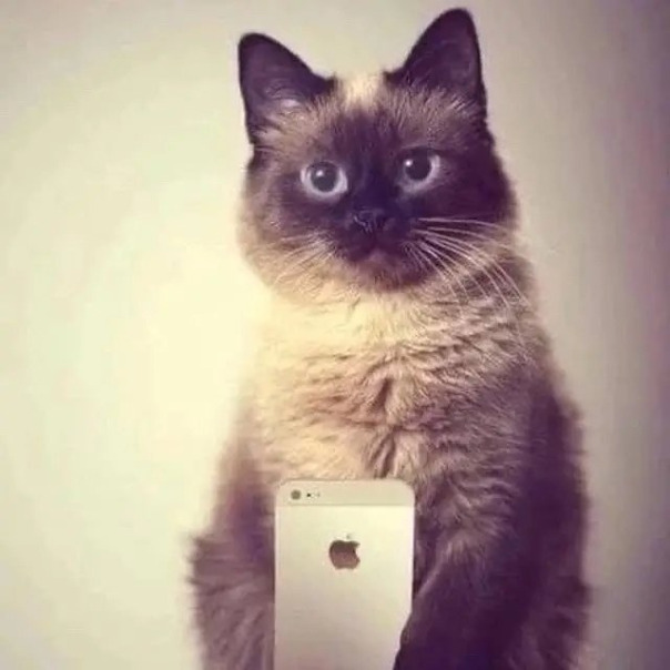 Первый Игрок