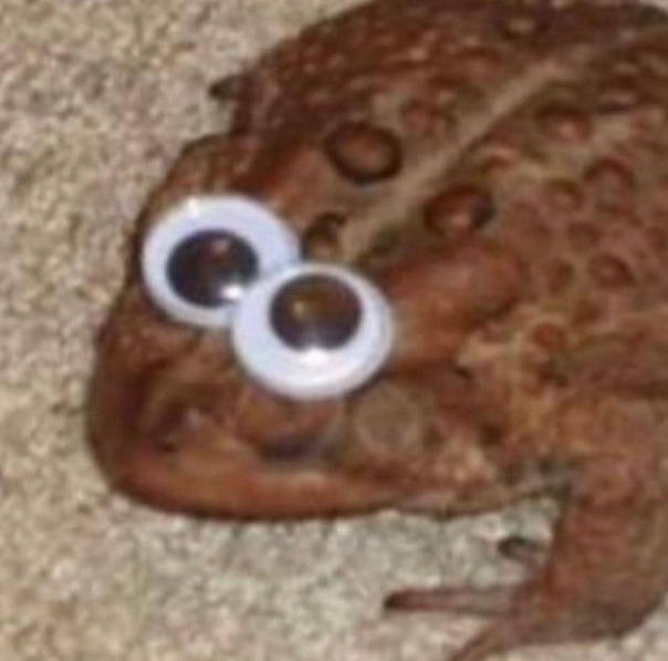 Фотографии со страницы