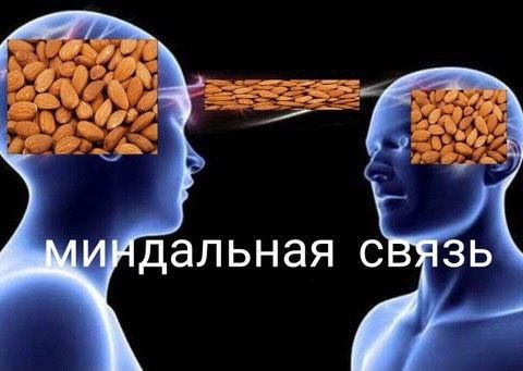 Фотографии со стены