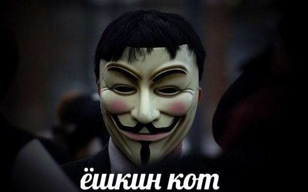 Димакул Программист