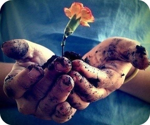 Один маленький мальчик, когда его спросили, что такое прощение, дал чудесный ответ: "Это аромат, который дарит цветок, когда его топчут."

https://vk.com/photo-24722253_308937527