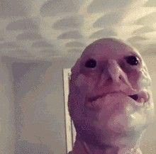 Фотографии со стены