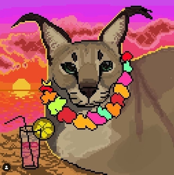 Эх, тут бы раздел с загруженными вид...