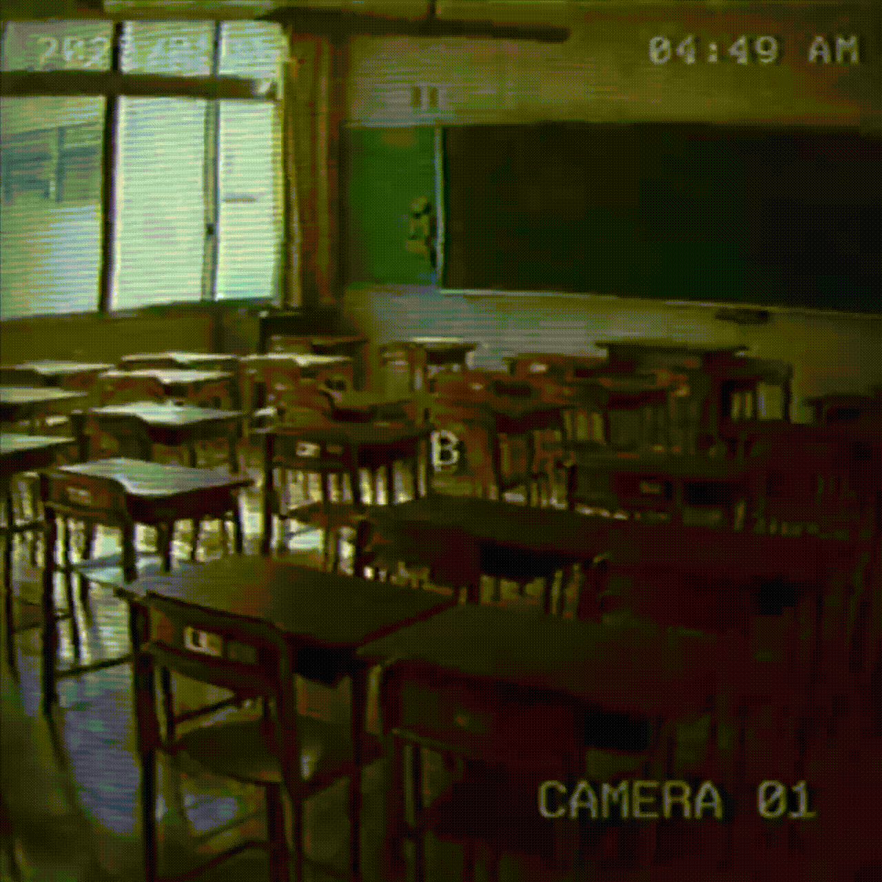 Звучит знакомо