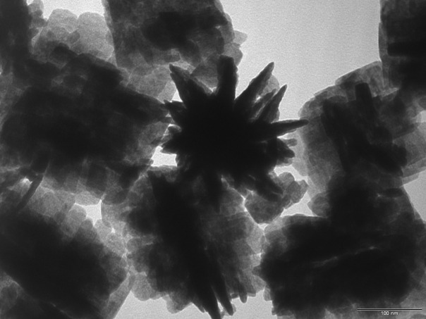 Фотографии со стены