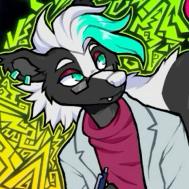 Илья Шапкин