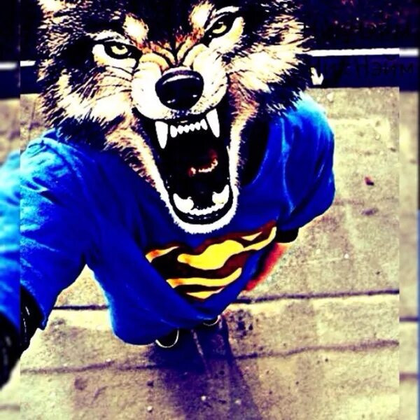 Ромчик Вконтактов