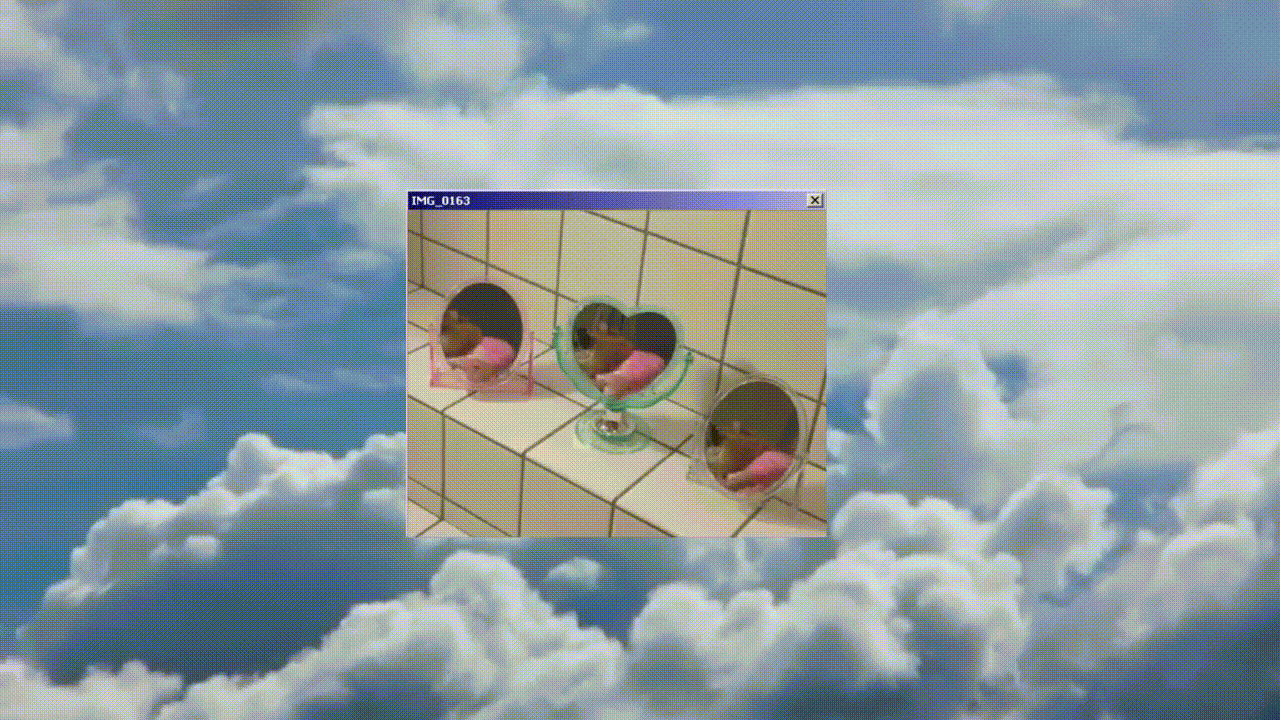 демонстрация рендеринга W7MCP wmv HD 720p