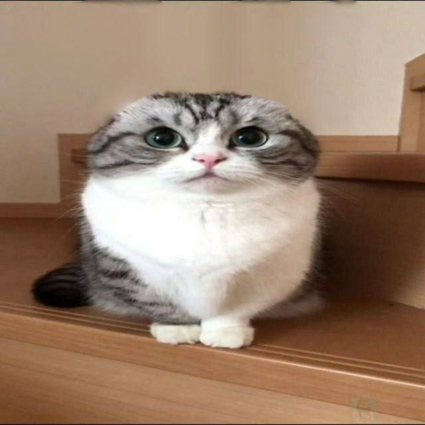 Максим Ептыч