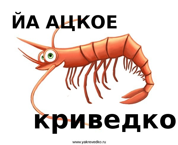 МЕМАСИКИ XDDDDDDD))))