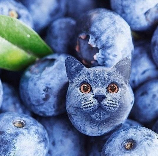 Фотографии со страницы