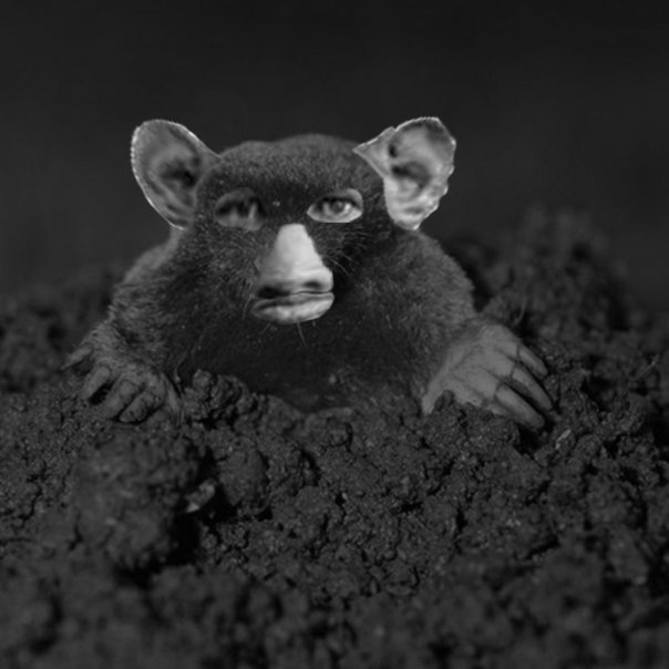 дедушка крот 
...