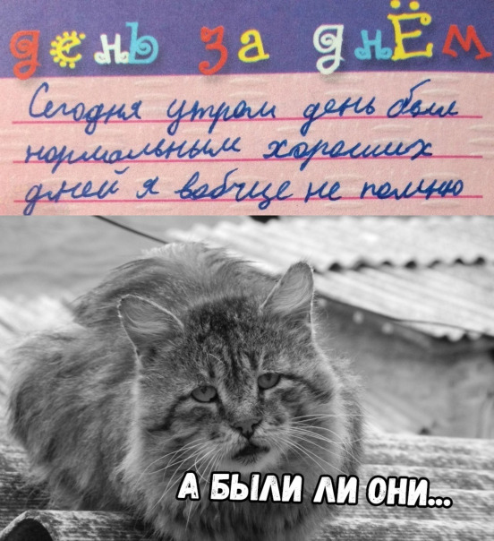 Фотографии со стены