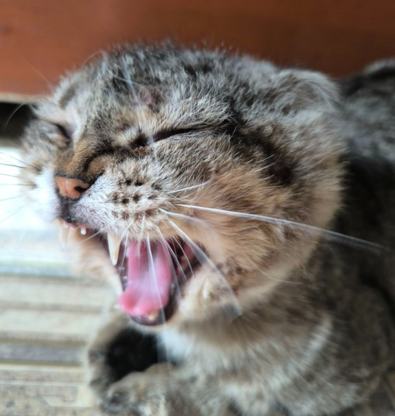 Фотографии со страницы