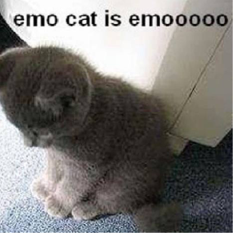 Фотографии со страницы