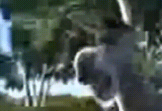 дяденька дайте пожалуйста чупачупс прикол смотреть до конца