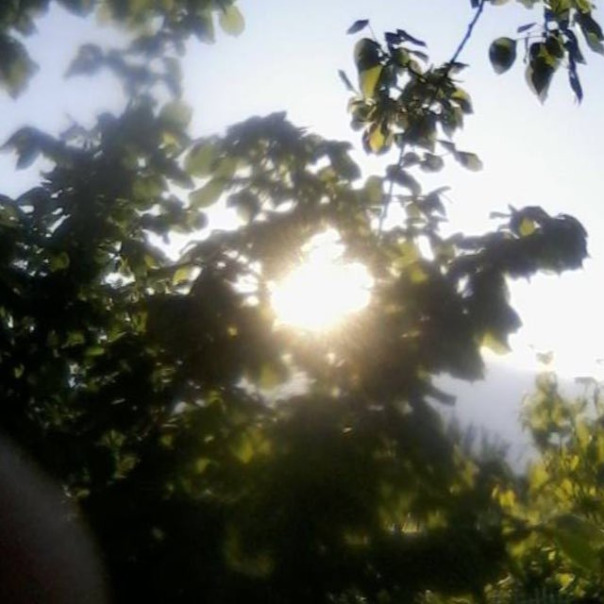 Тимофей Ковальчук