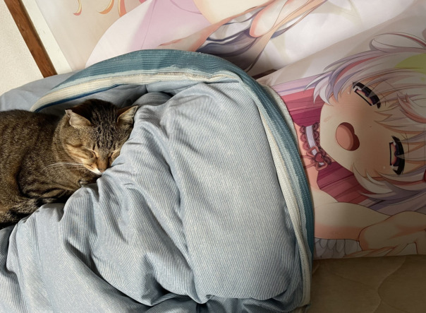 Спига Спигстер