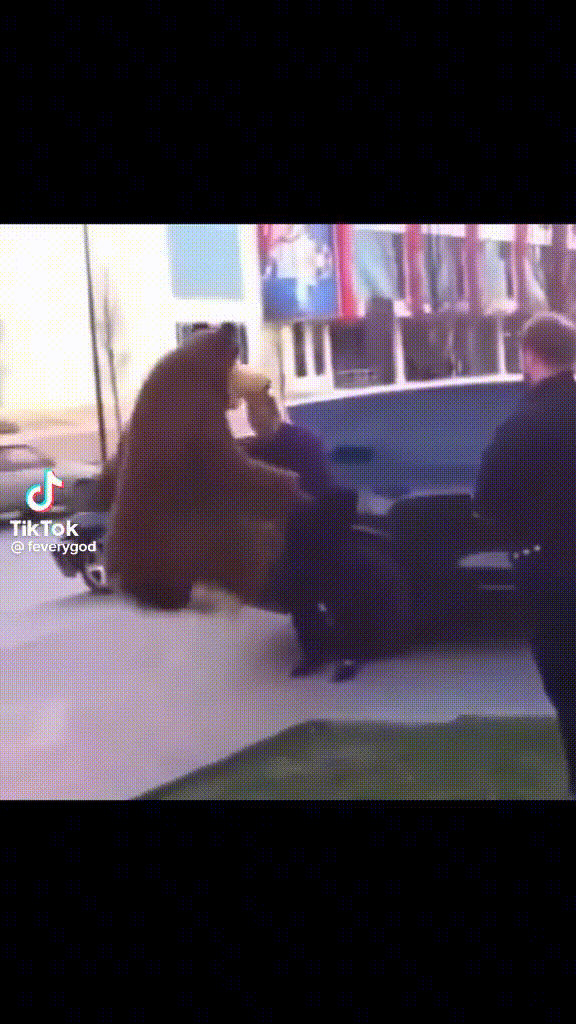 Привет из 2010