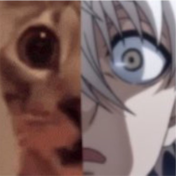 Александр Демчук