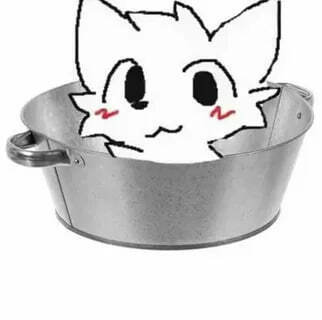 Фотографии со страницы