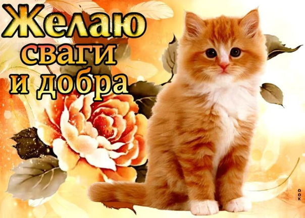 Фотографии со стены