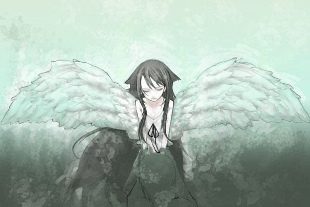 Фотографии со стены