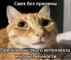 Корка Хлебная