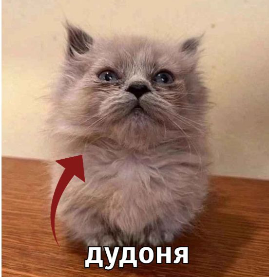 Фотографии со страницы