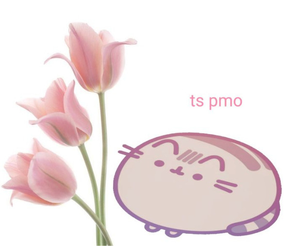 Соня Теплица