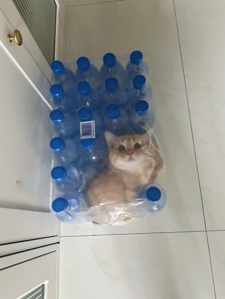 Фотографии со страницы