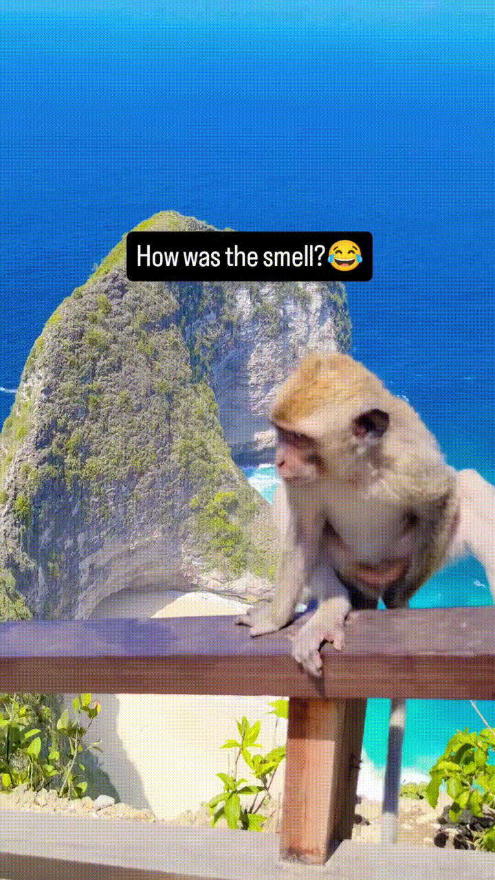 Snapinsta_app_video_AQPMf4W3kiLMU51PTLChwz4GHKDV78pruBGP4a1kZ…