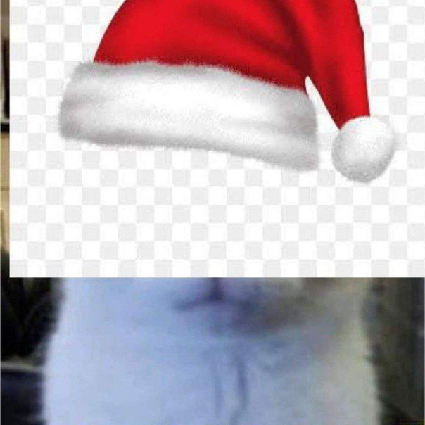 Фотографии со страницы